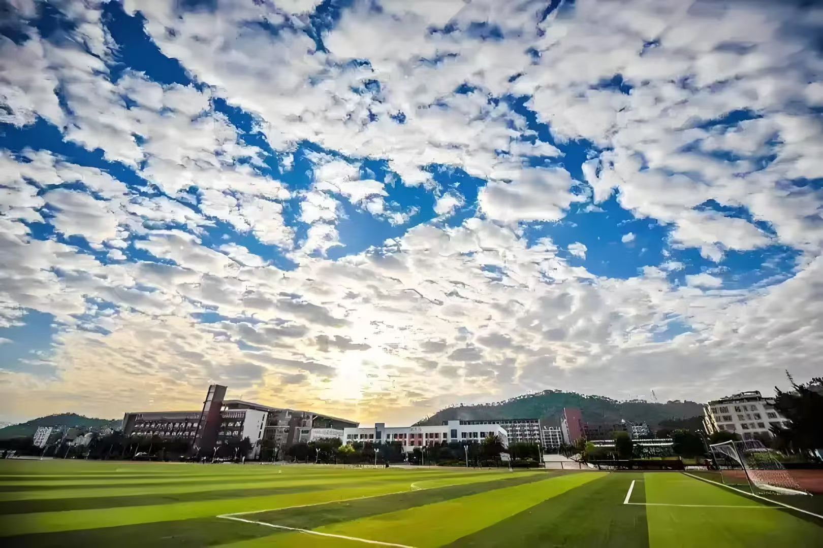 城市职业-足球场